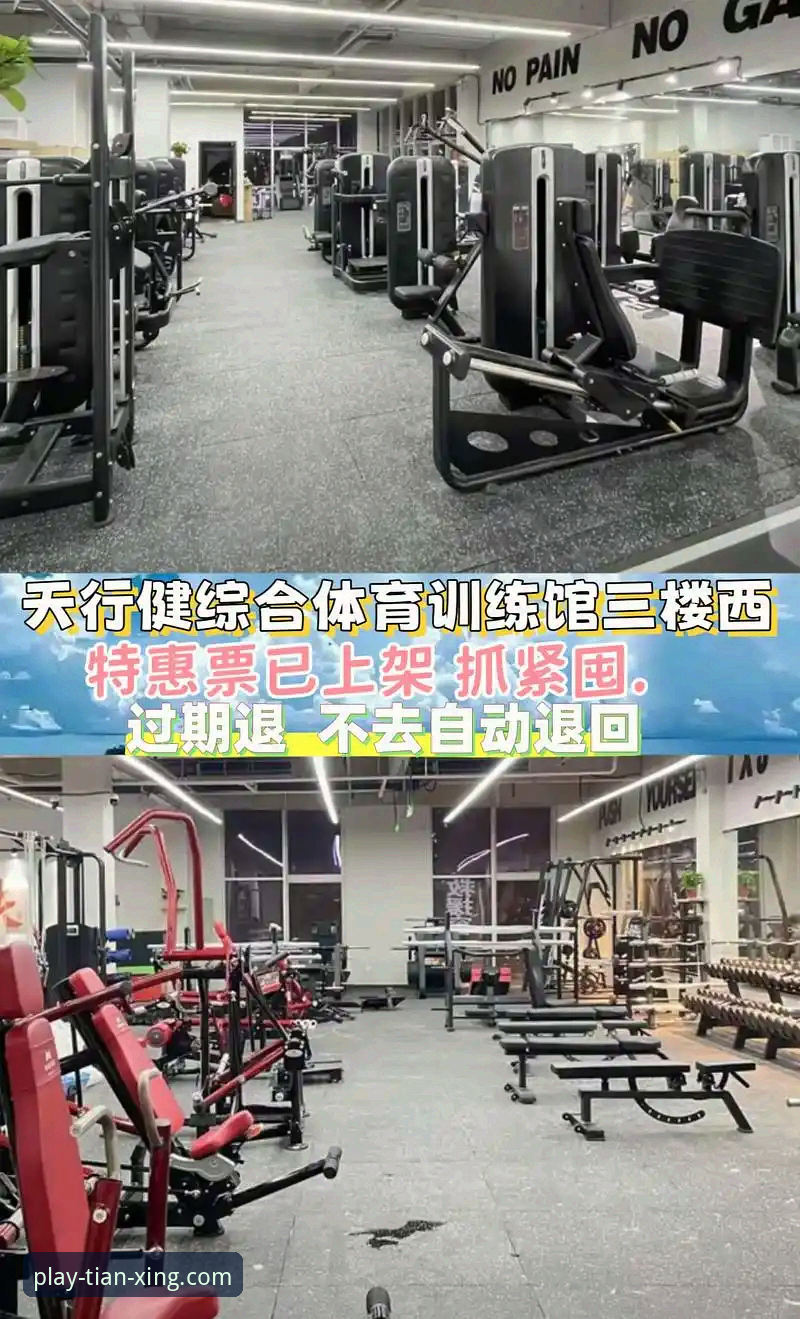 天行体育官网下载安全使用教程：从安装到防护的完整指南